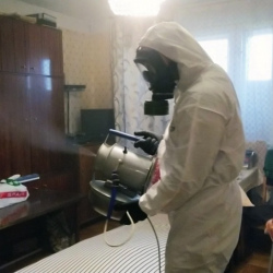 Дезинфекция от клопов в Ардоне