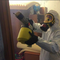 Уничтожение клопов в квартире. Ардон